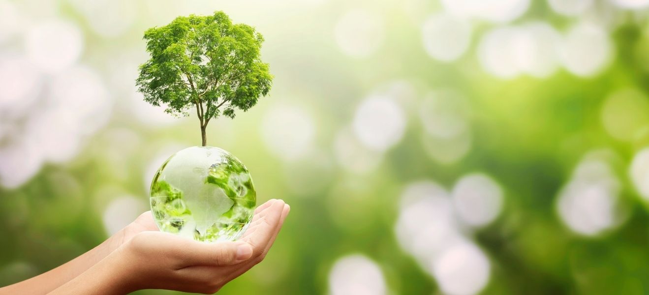 Sürdürülebilirlik